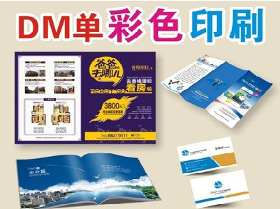 彭州单页印刷，色彩搭配简单。